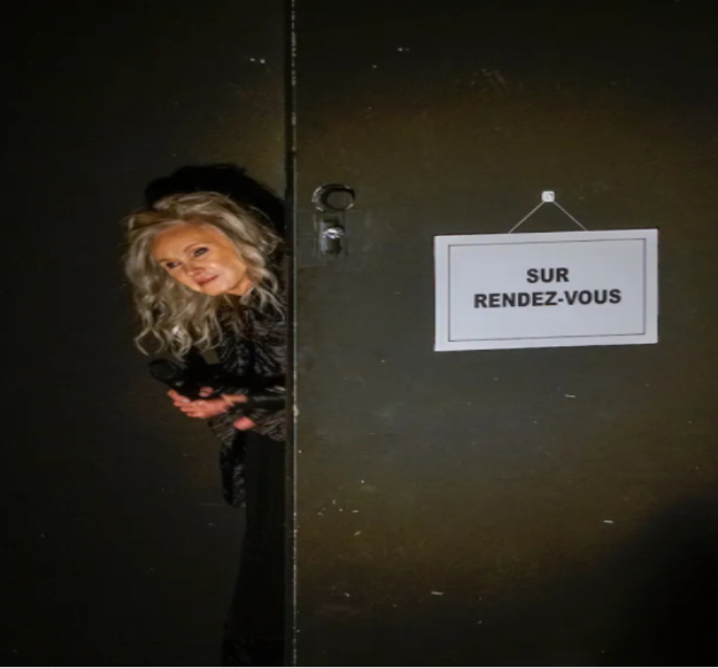 Diane Dufresne - Collection numérique