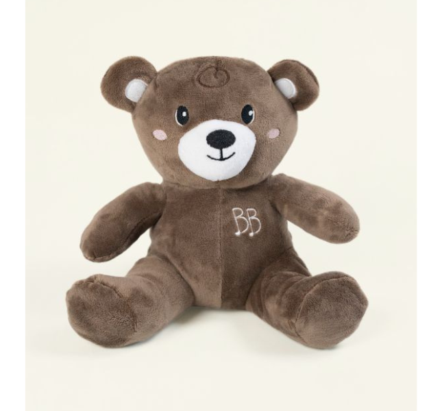 Bambini symphonic - Largo The Bear